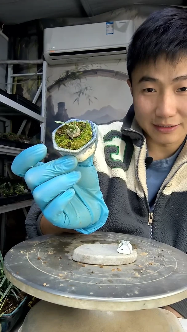 l**a中青园艺一物一拍花260