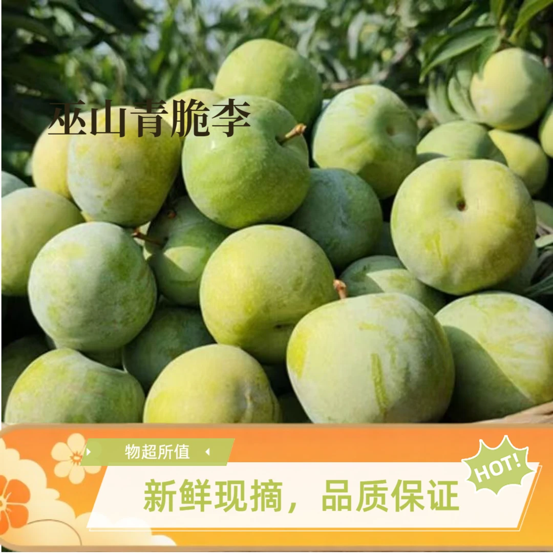 彩箱.正宗重庆巫山青脆李新鲜清脆李青翠李子新鲜当季现摘水果