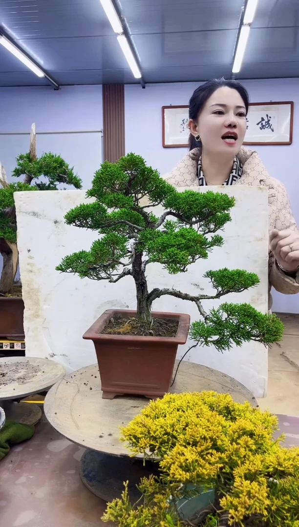 无花朵?****?00000000000000000000000000000