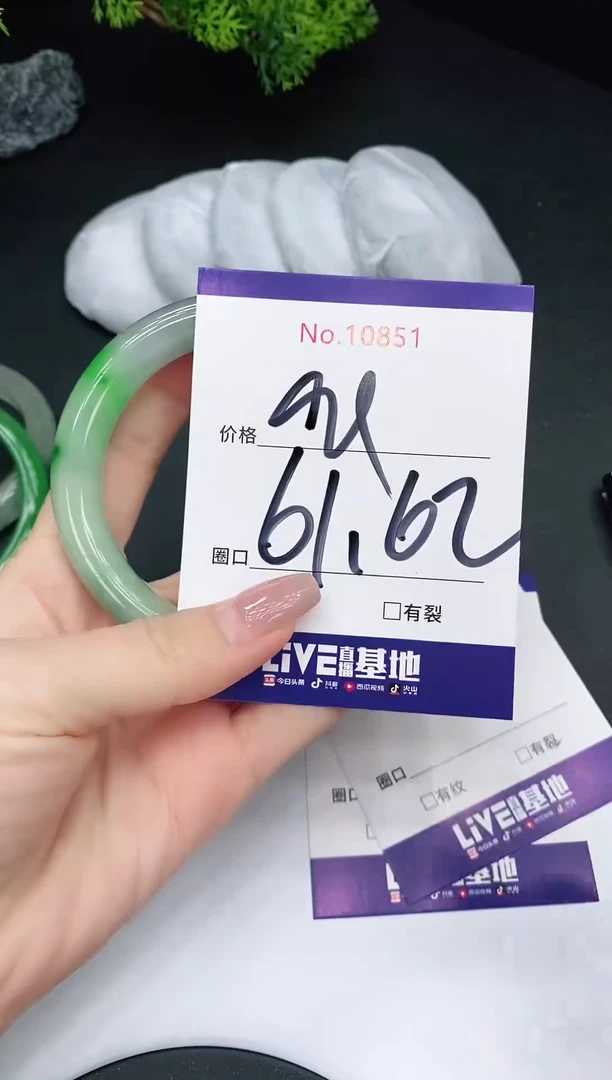 未镶嵌手镯翡翠10851