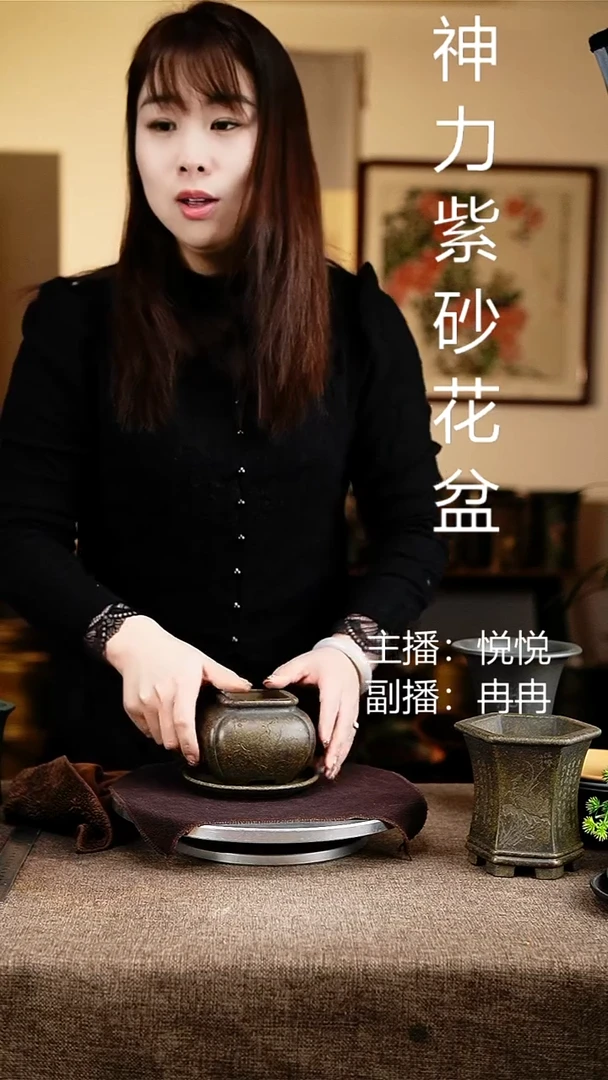 紫砂花盆花卉工艺265+z原配