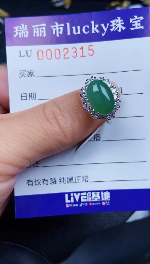 翡翠银S925镶嵌颈饰2315