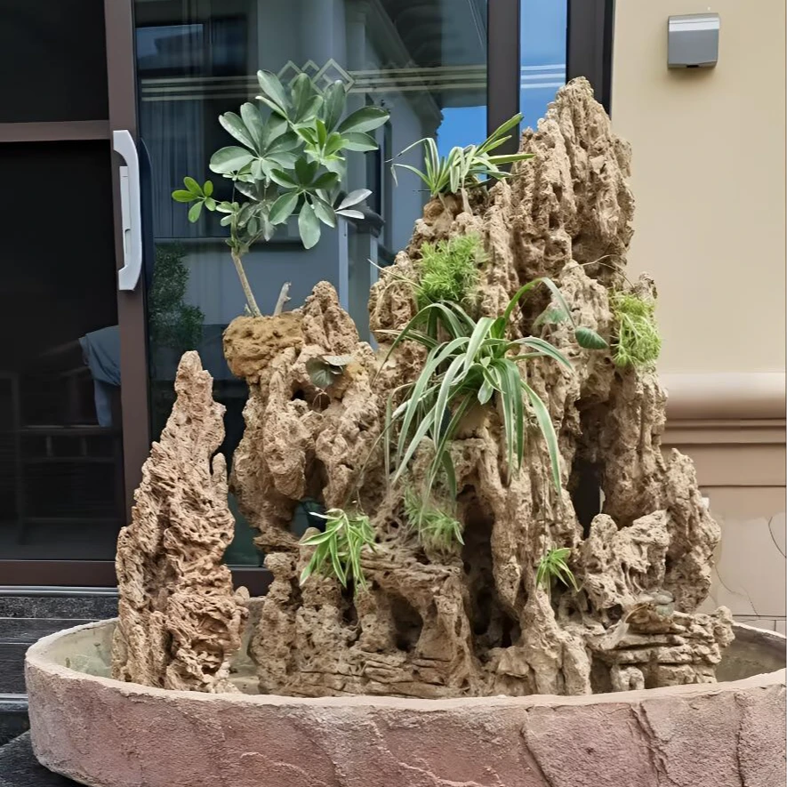 天然吸水石质地疏松多孔这种结构使其吸水性极强造型独特观赏盆景