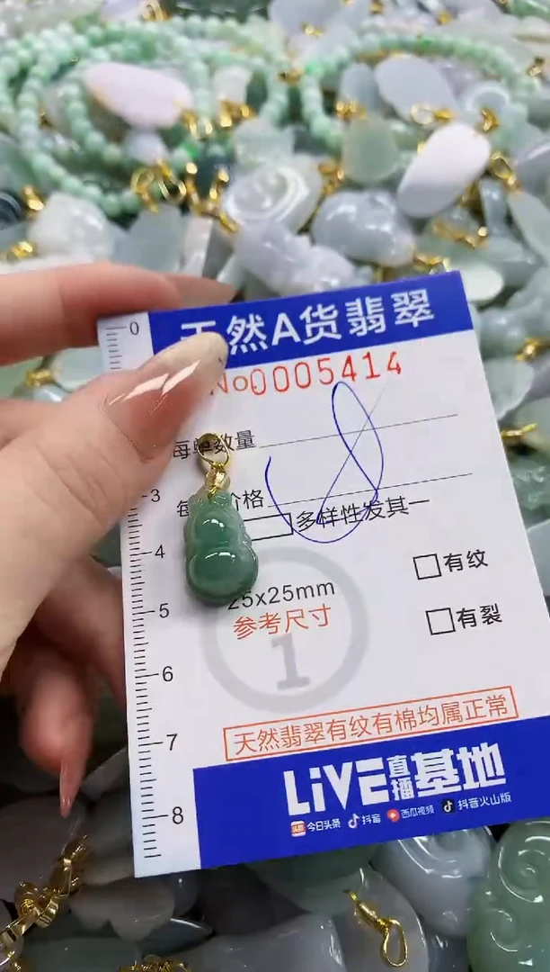 颈饰未镶嵌翡翠天然A货翡翠