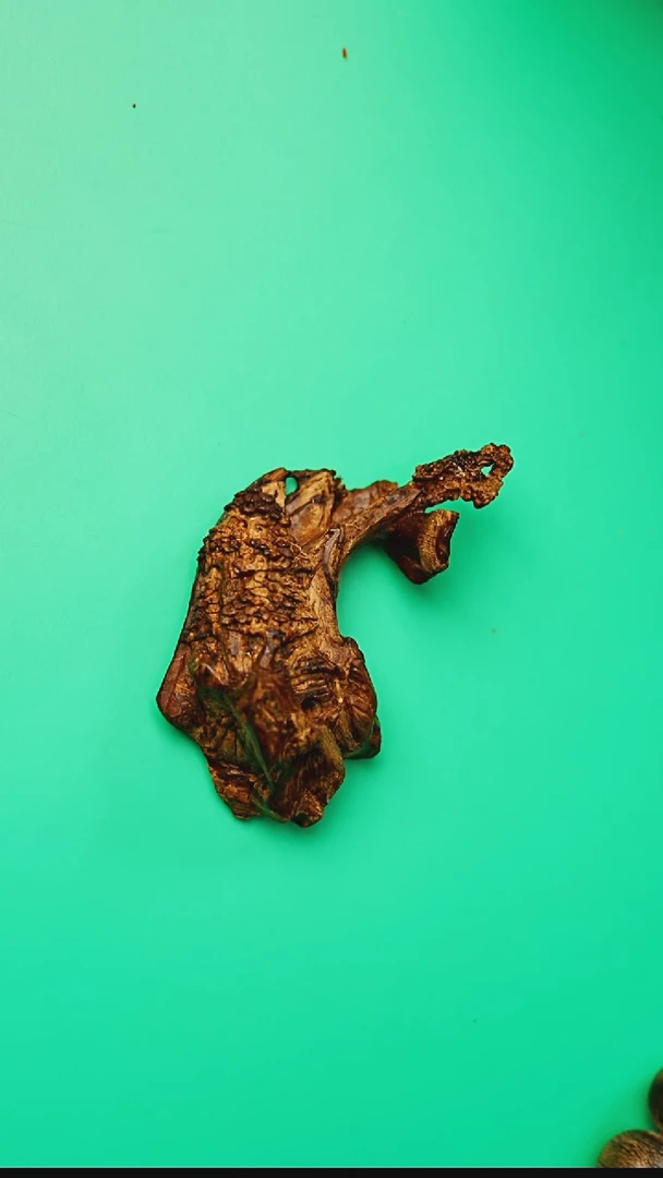 沉香摆件惠安红土沉水小树摆件24g   03254