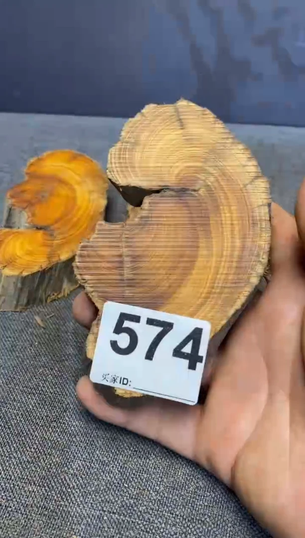 柏木（崖柏）太行山陈化崖柏（津诚林）切片一片