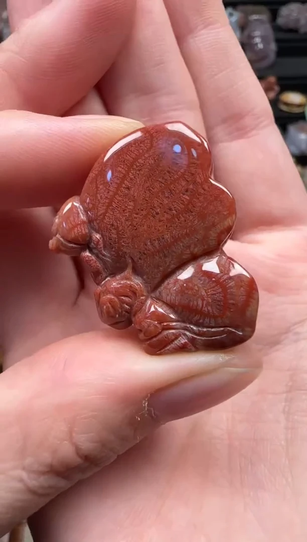 颈饰未镶嵌硅化珊瑚（珊瑚玉）582