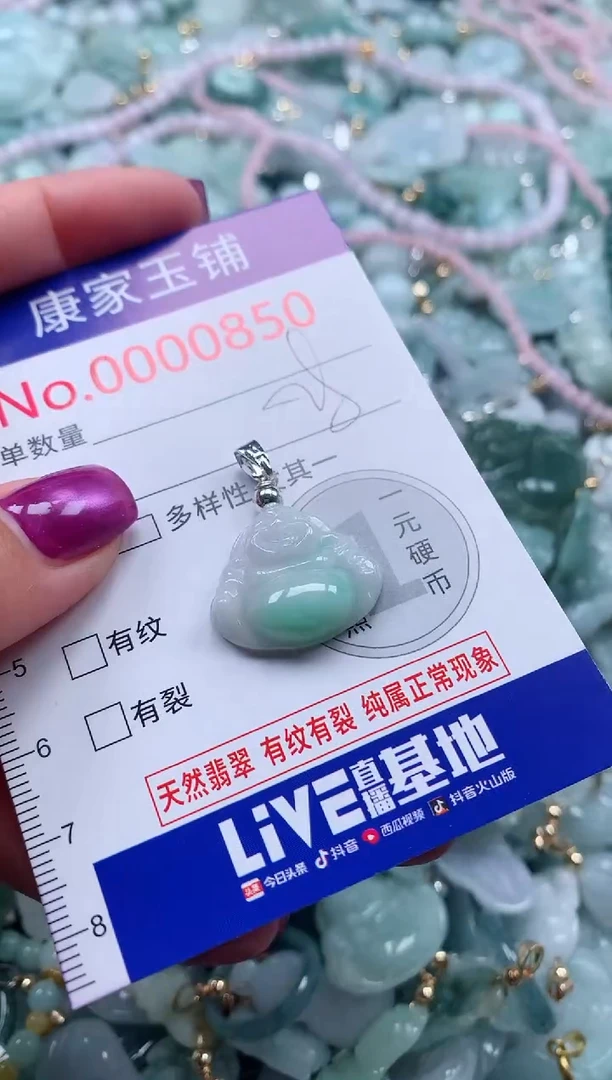 颈饰未镶嵌翡翠850