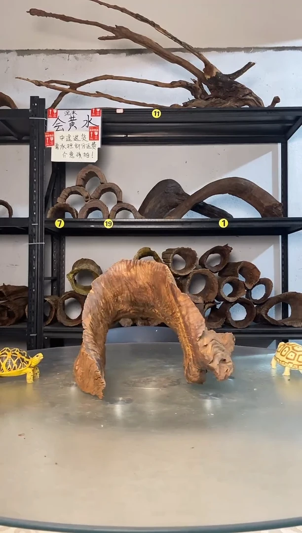 焦*?鱼缸爬宠造景素材173