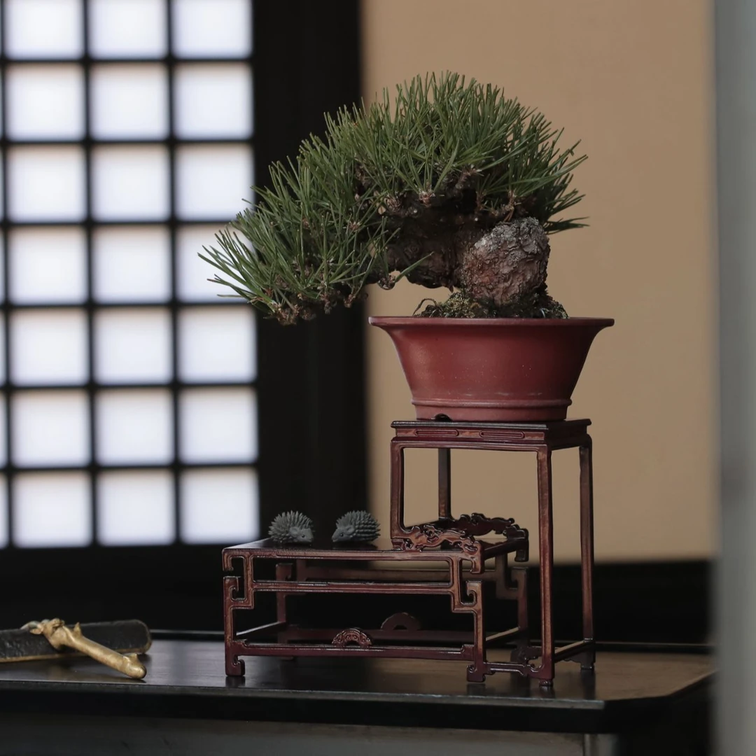 盆景几架 【澜舟】