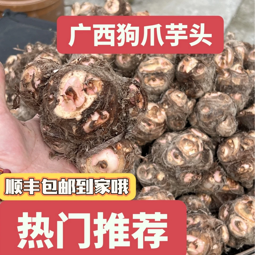 广西新鲜现挖狗爪芋头可可芋艿软糯水果香甜可蒸煮粉粉糯糯芋头