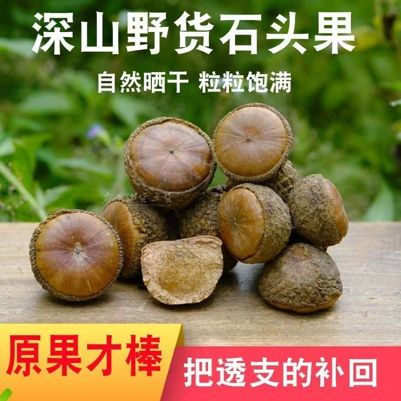 广西特产野生石头果泡酒料山货石头果厚麟柯胖头果泡酒原料