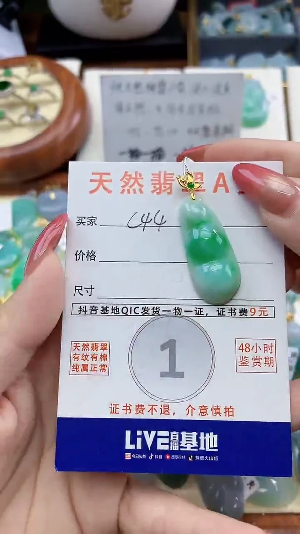 颈饰未镶嵌翡翠天然A货翡翠挂件