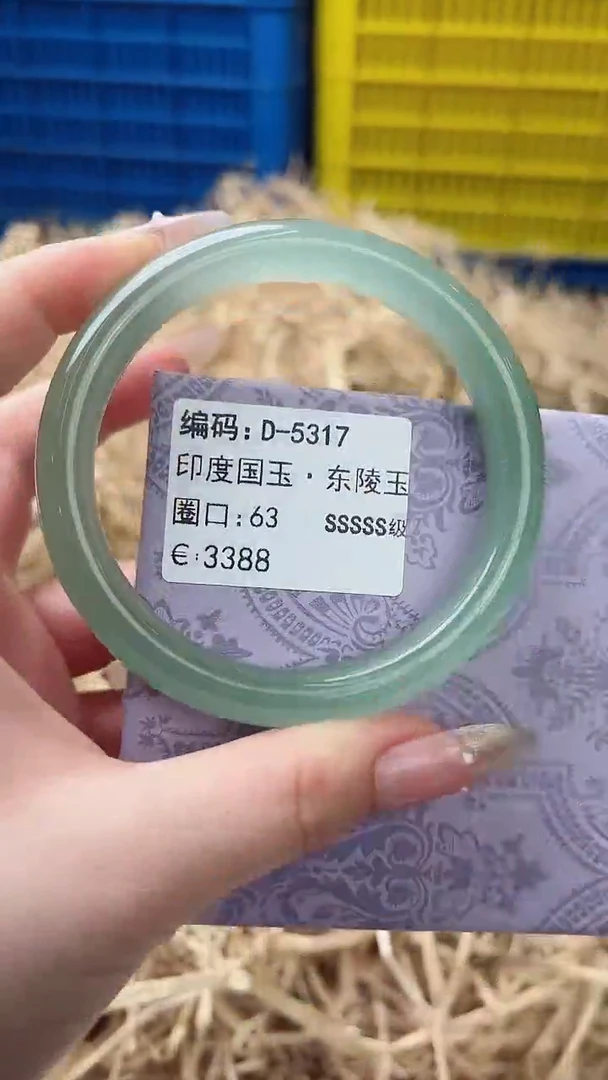 未镶嵌手镯石英质玉D-5317