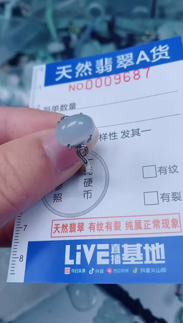 颈饰未镶嵌翡翠00009687