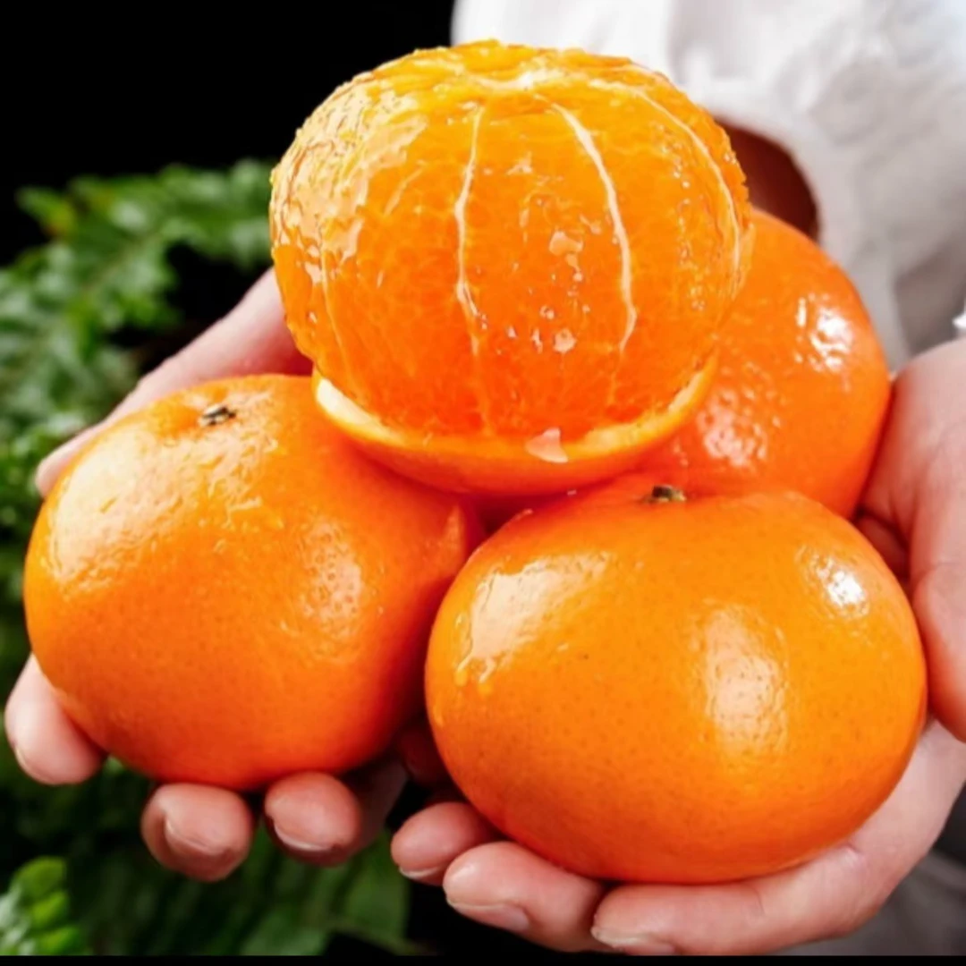 爆甜正宗云南哀牢山沃柑橘子新鲜水果当季整箱批发桔子超甜