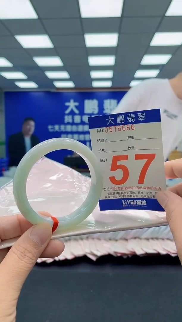 未镶嵌手镯翡翠AAAAAAAAA