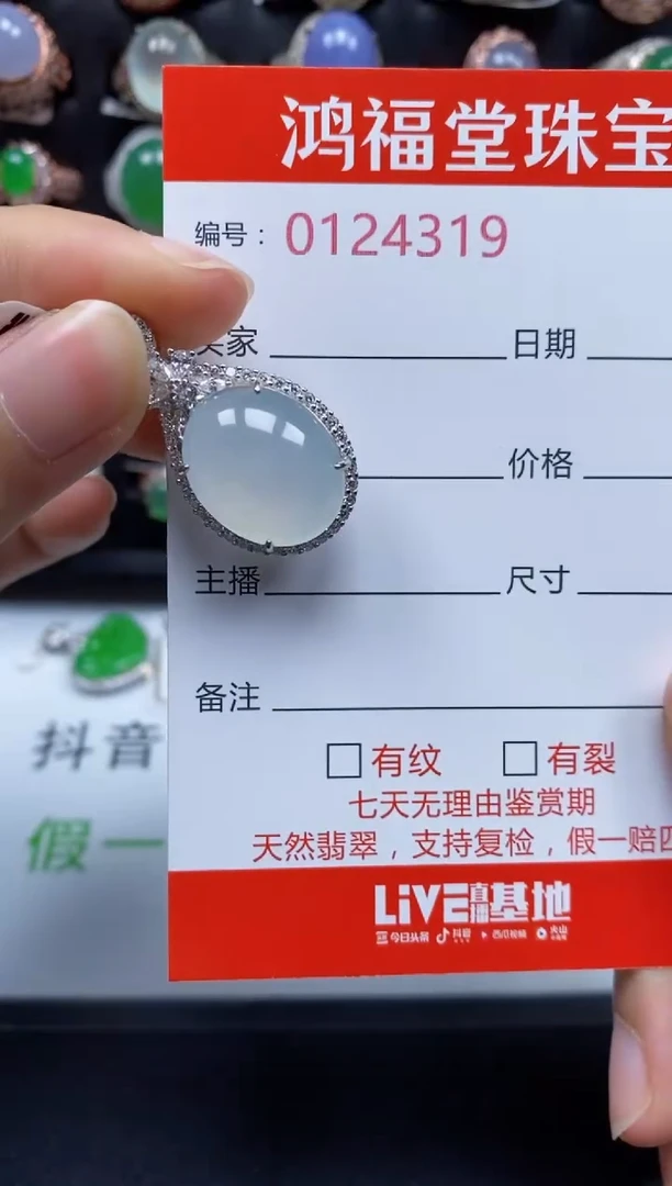 颈饰银S925镶嵌翡翠4319
