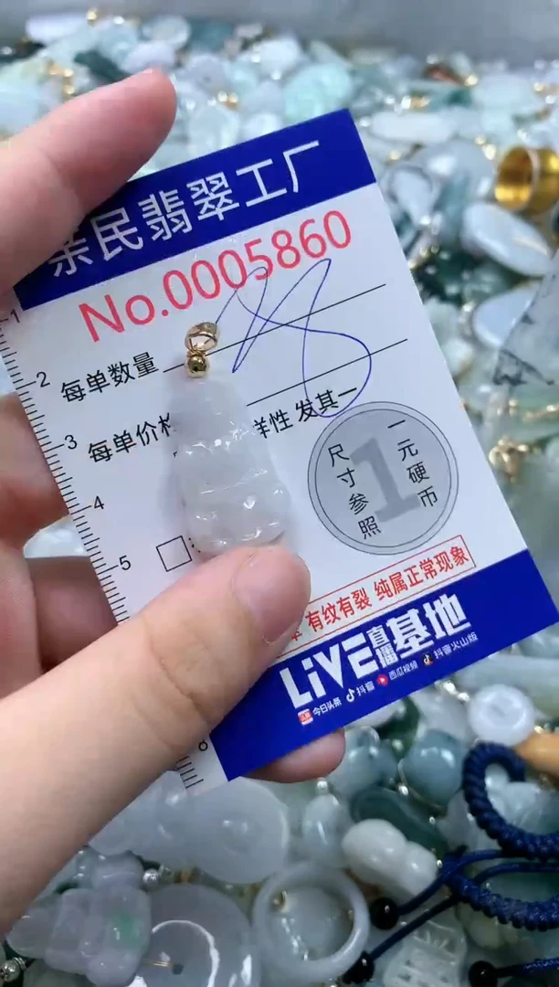 翡翠未镶嵌吊坠(不含链)5860