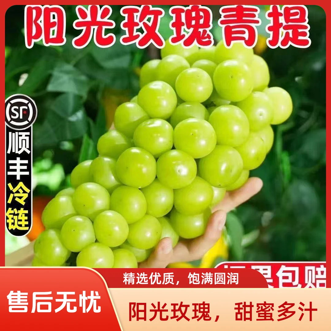 【顺丰次日达】阳光玫瑰新鲜葡萄晴王青提当季水晶葡萄新鲜提子葡萄同城送云南省