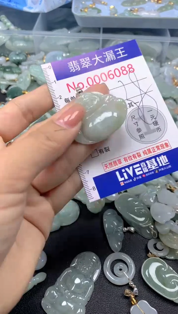 颈饰未镶嵌翡翠6088