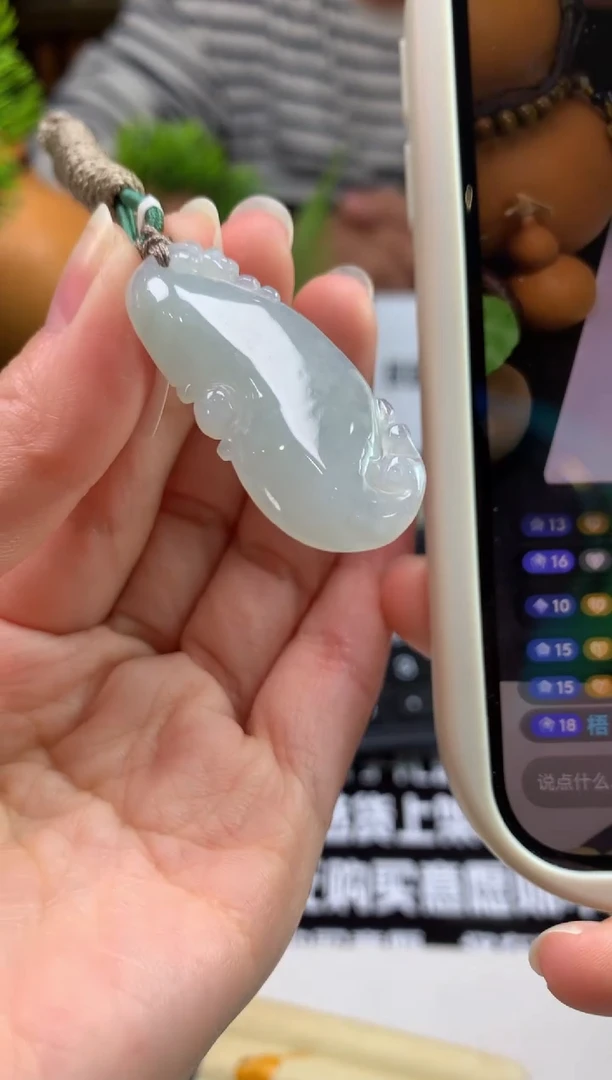 颈饰未镶嵌翡翠g****n---118697