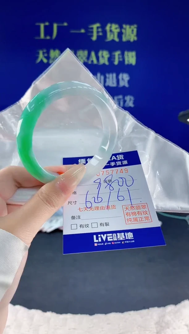 未镶嵌手镯翡翠49