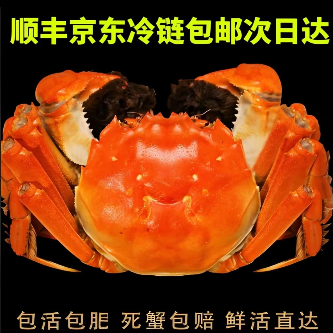 【活蟹】现捞现发 公4.0-3.5 母3.0-2.5 6/8/10只 冷链包活 隔日达