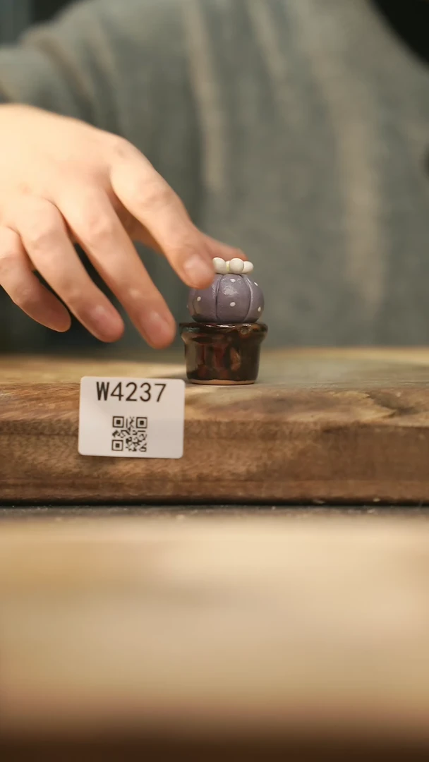 【闪购商品】【经典福利】/ 摆件@@W4237