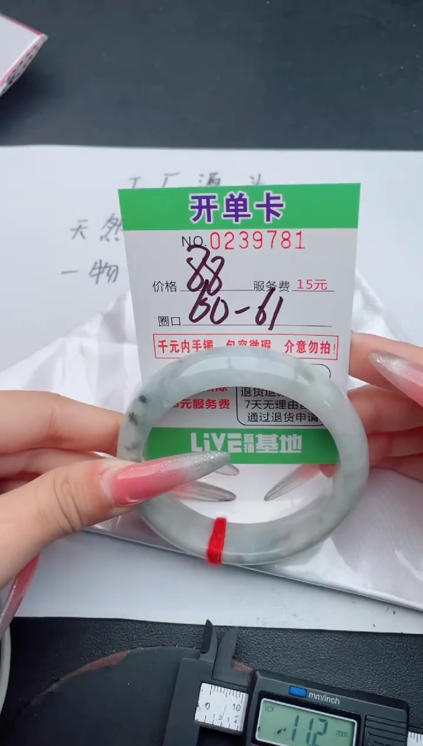 未镶嵌手镯翡翠81