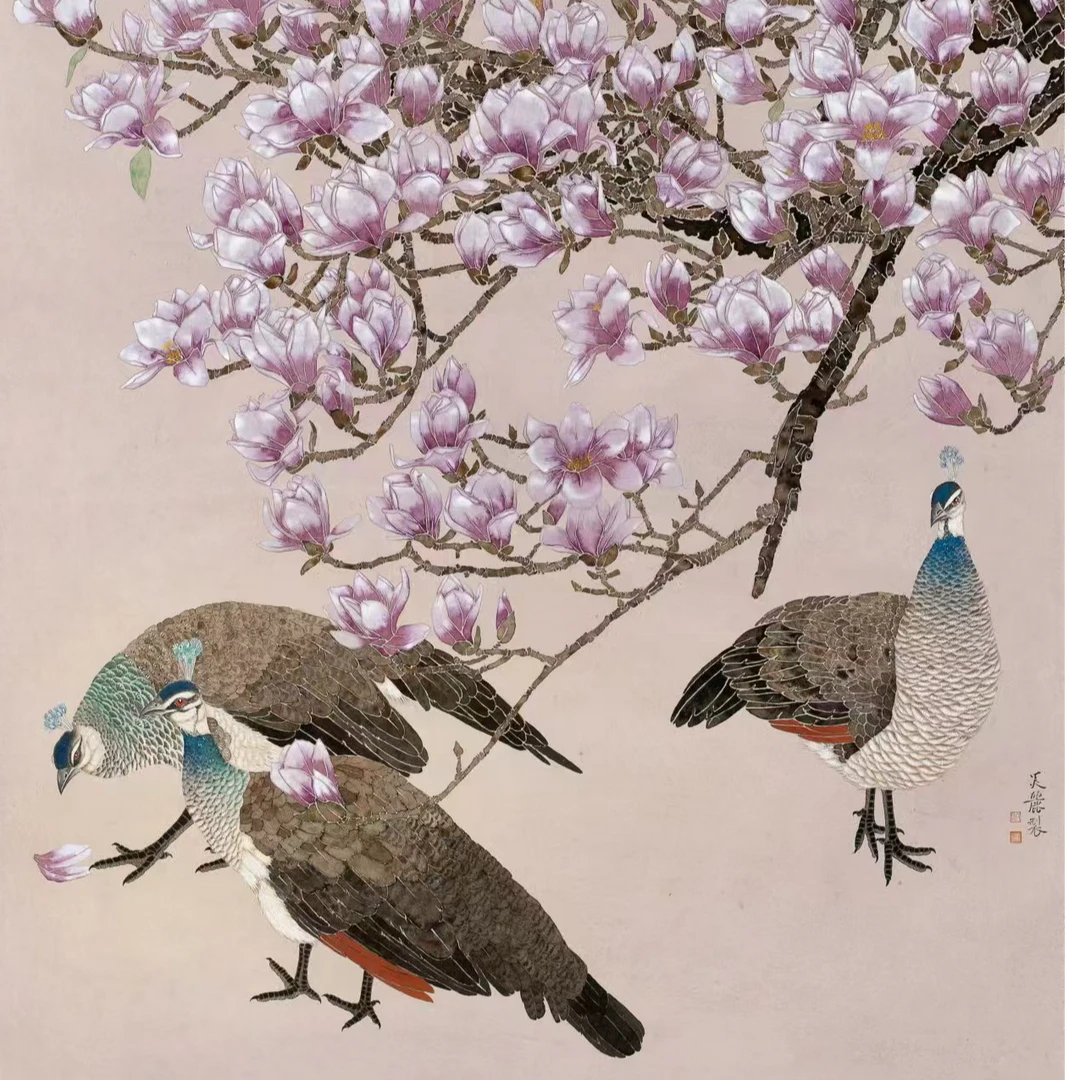 美丽老师  六尺玉兰花孔雀
