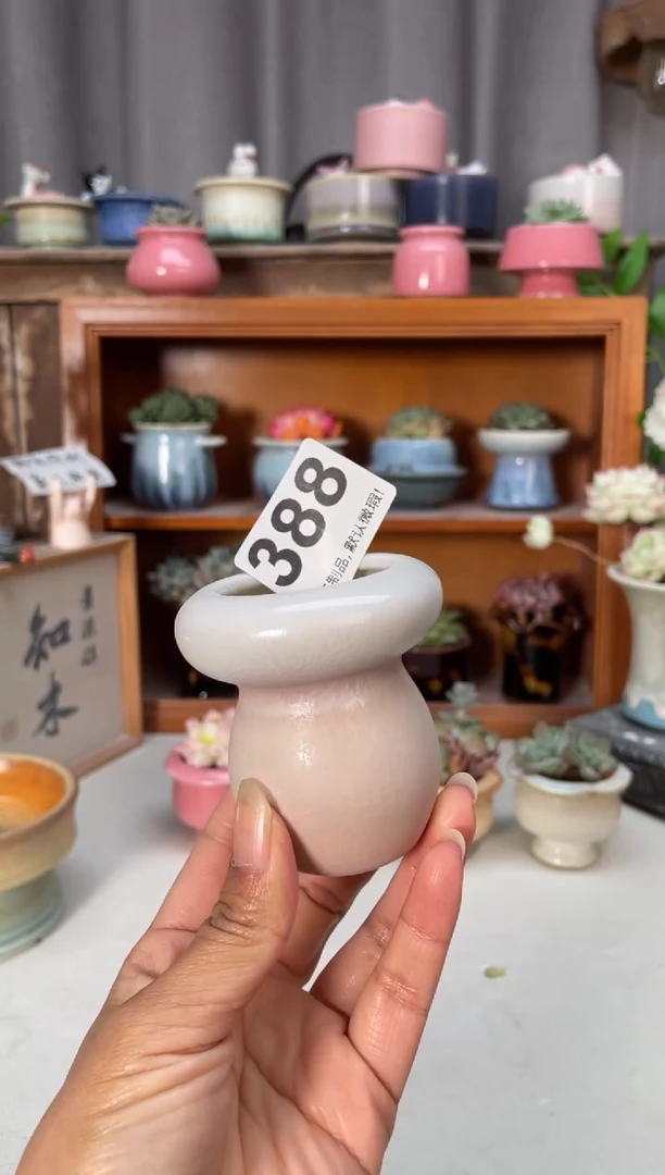 瓷片388小芳直播编号