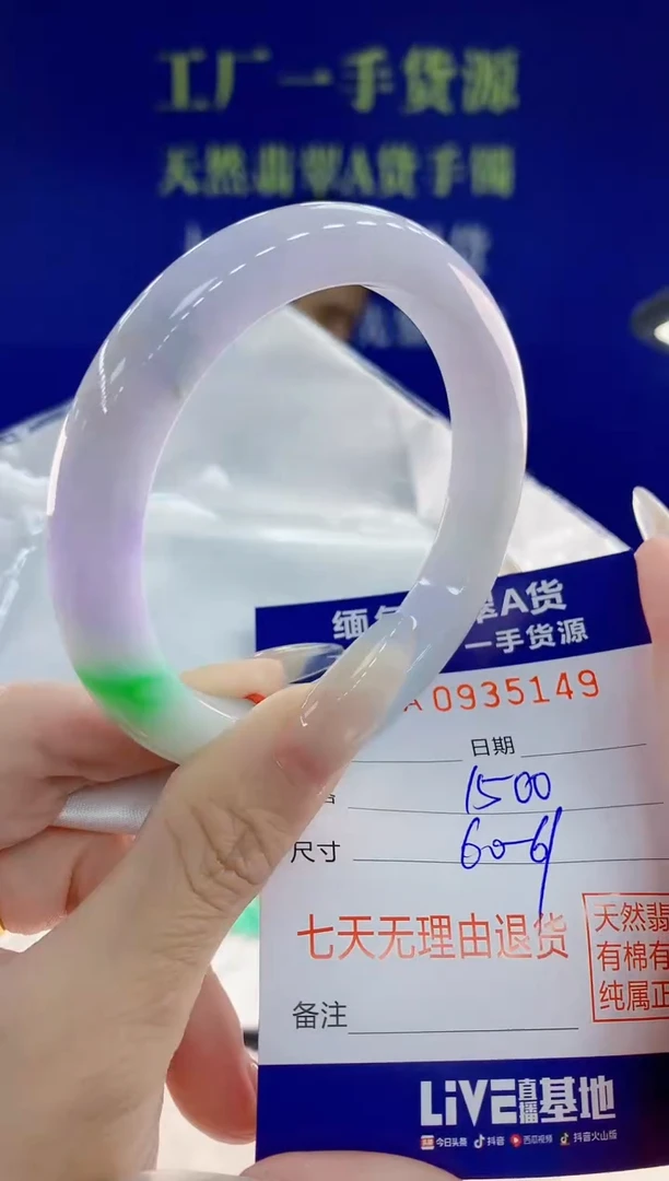 未镶嵌手镯翡翠49