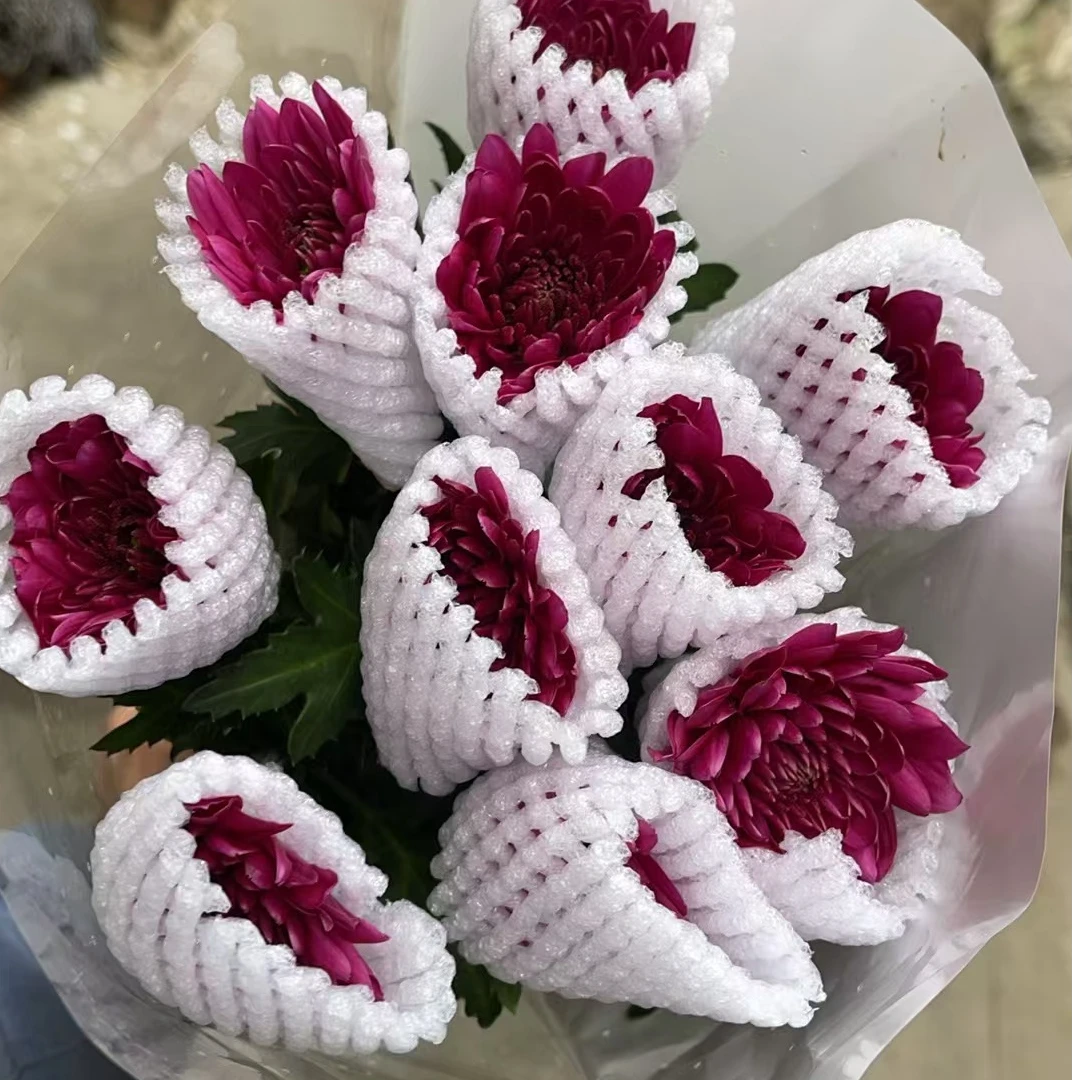 单头（安葵）小雏菊全店任意N单一个运费