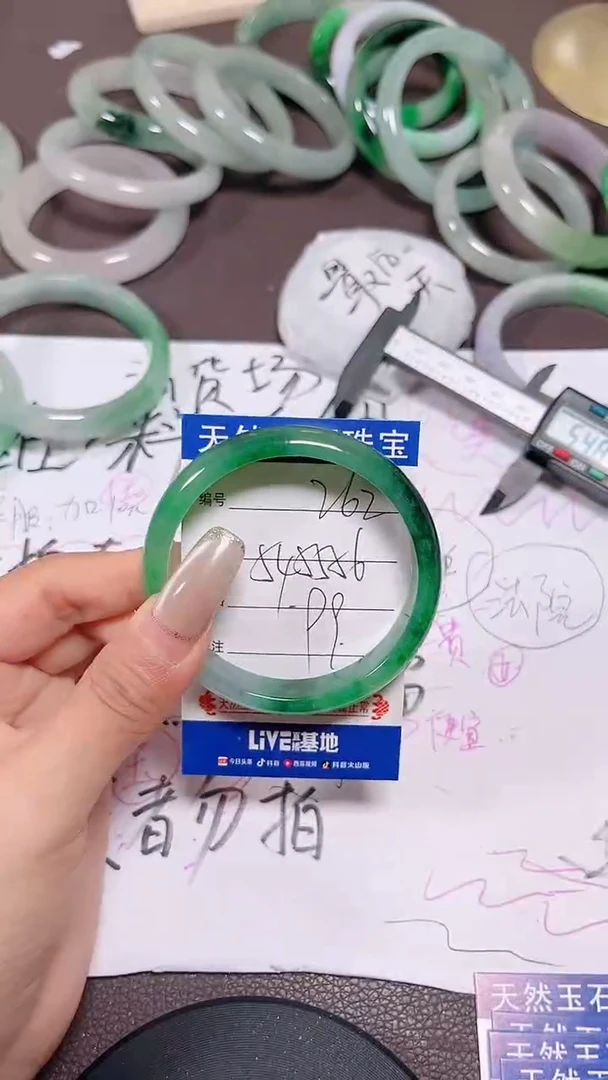未镶嵌手镯翡翠262