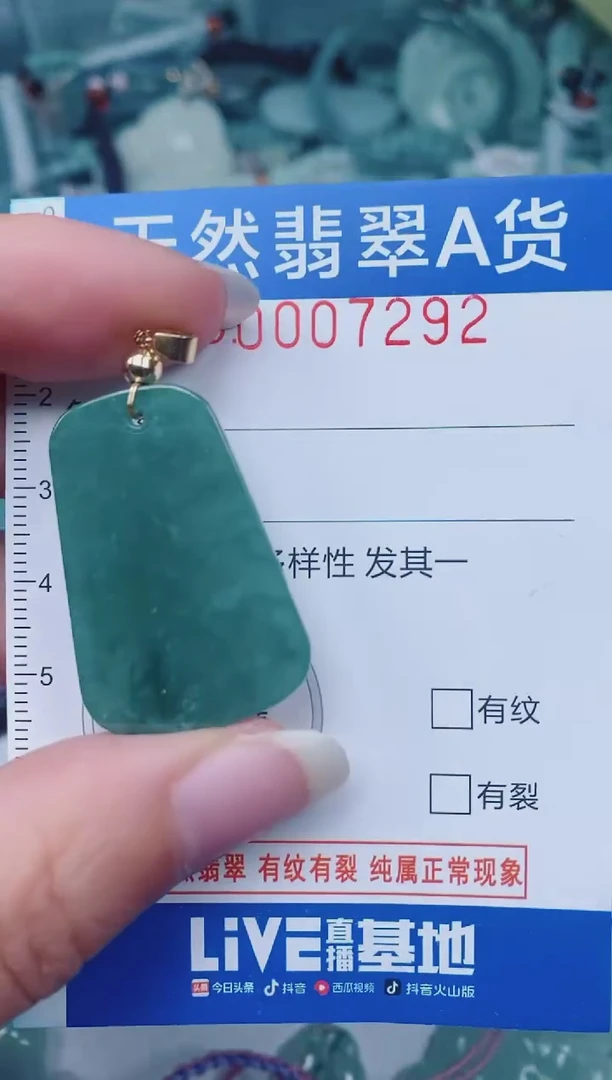 颈饰未镶嵌翡翠00007292