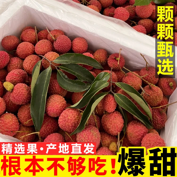 【顺丰冷链】广东高州桂味头茬荔枝整箱礼盒批发新鲜现摘3/4.5斤