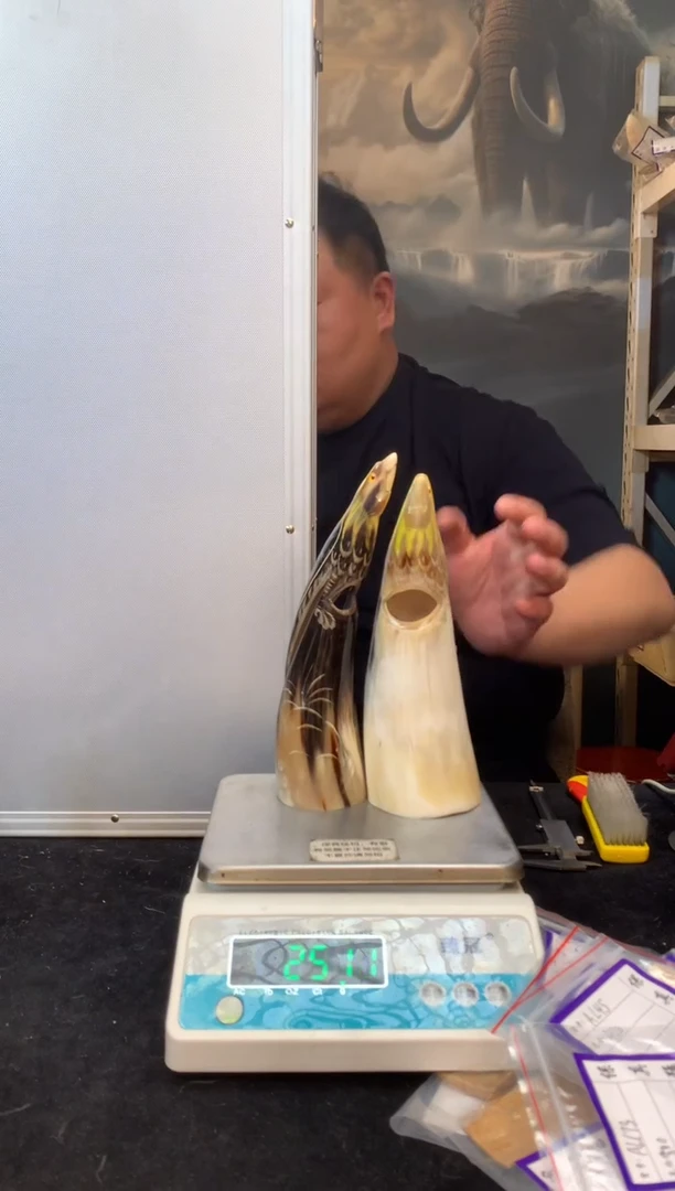 【闪购商品】橄榄核手串/手链猛犸猛犸猛犸猛犸185