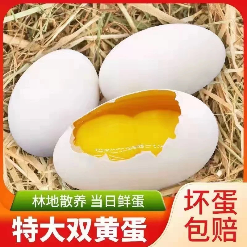 【九儿+】现捡现发新鲜散养双黄鹅蛋一箱12枚单枚重130-160g