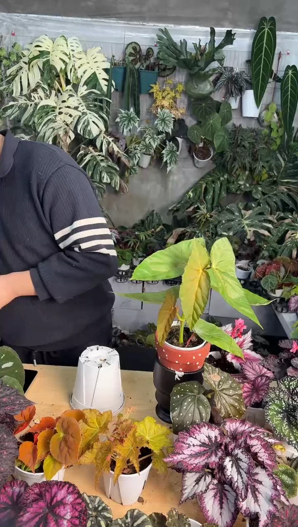 完全开放黏***呀0101棱花镜