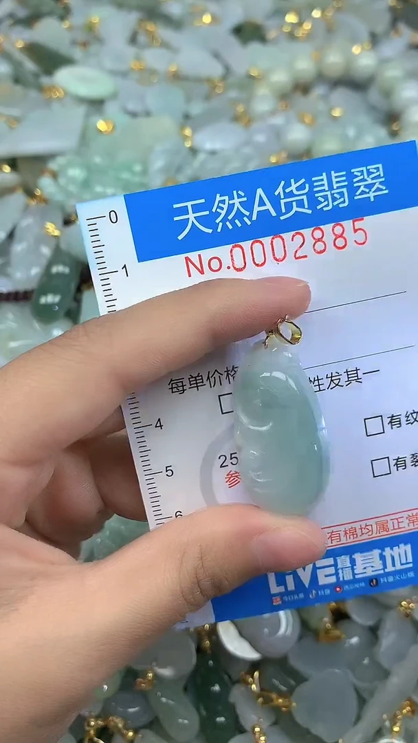 颈饰未镶嵌翡翠净货挂件-2885