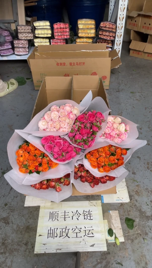 折射10枝+橙色芭比10枝+苏菲10枝+巧克力10枝