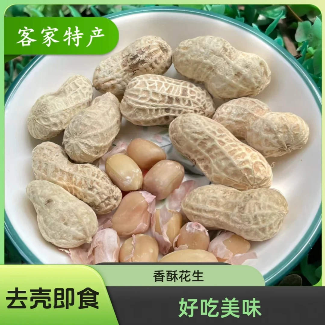 河源忠信咸脆花生新花生传统工艺美味好吃酥脆下酒咸香花生