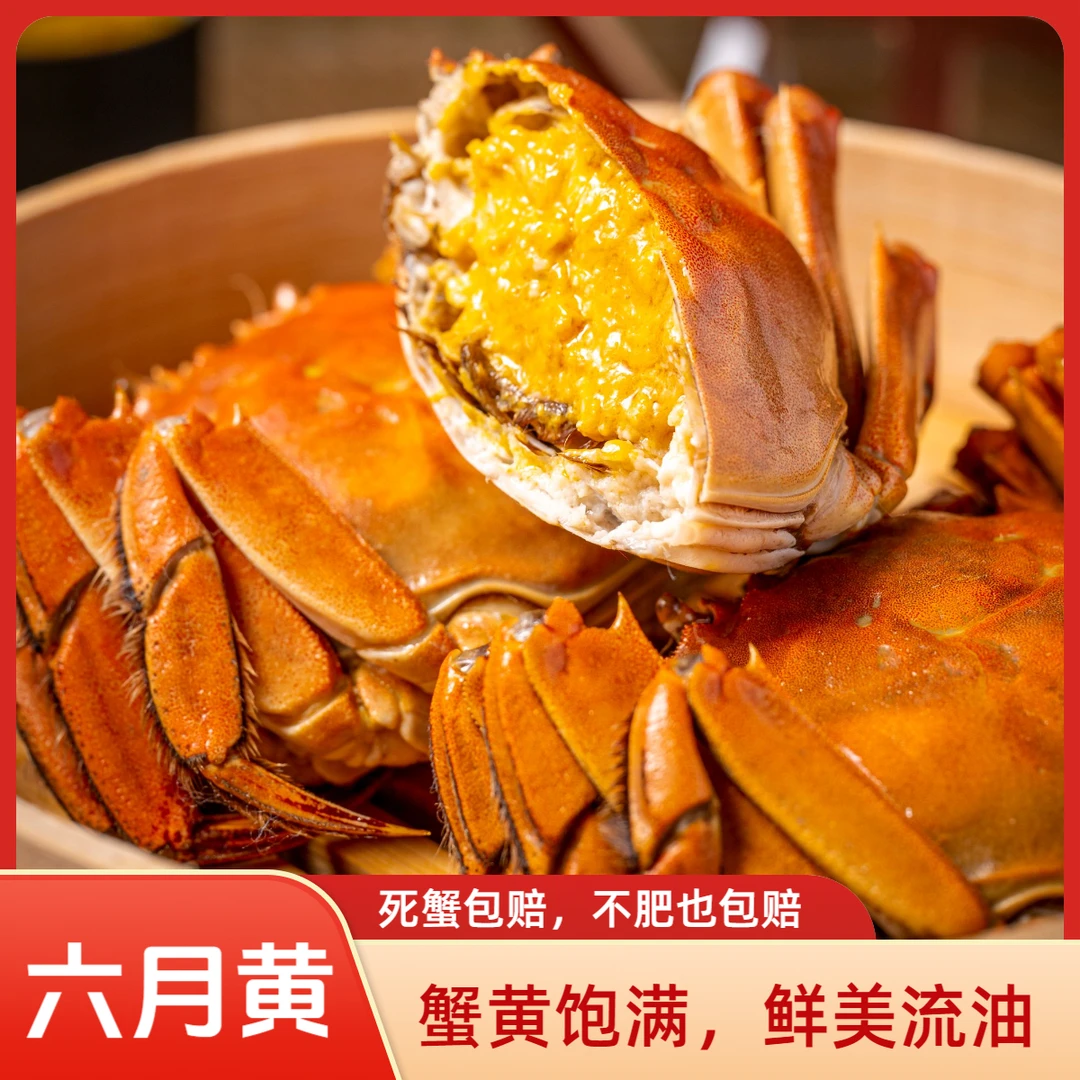 【活蟹】1.4-1.6两规格 3斤 黄油蟹 死蟹包赔 不肥黄苦都包赔