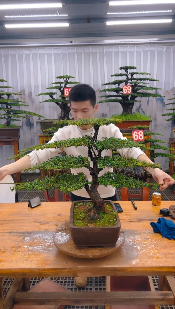 【闪购商品】紫砂精品盆景直播间一物一拍