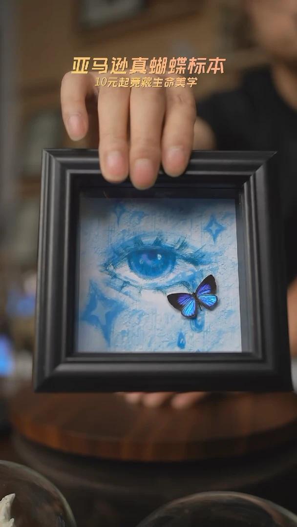 有机玻璃雅灰蝶蓝眼泪四寸方框