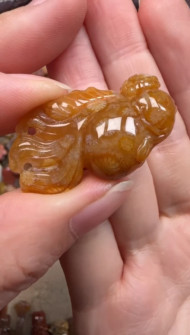 硅化珊瑚（珊瑚玉）未镶嵌颈饰596