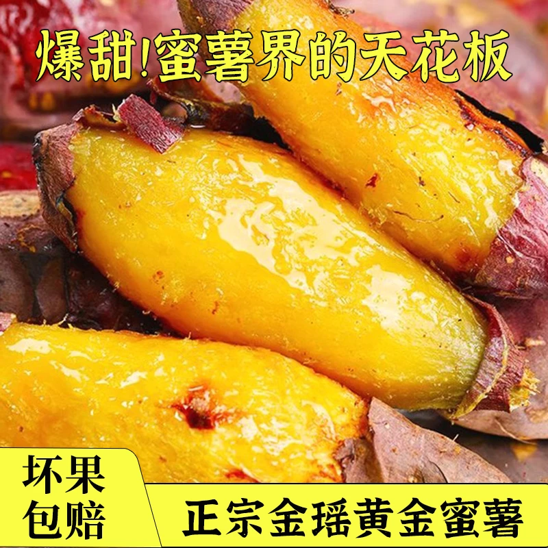 正宗金瑶蜜薯榴莲蜜薯软糯甜代餐健身佳品蒸煮烤均可