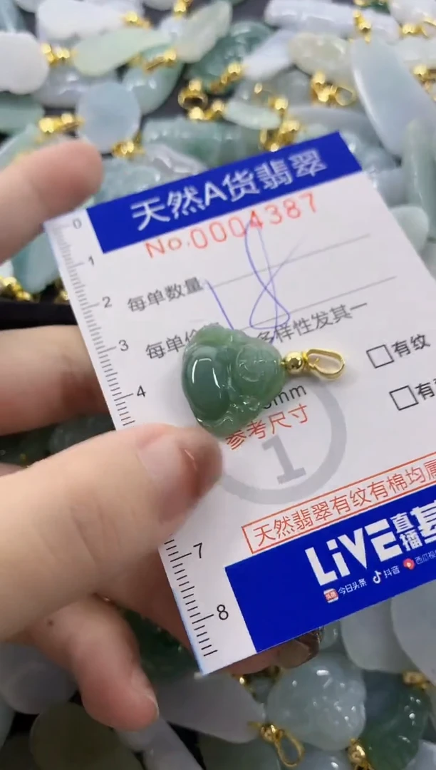 颈饰未镶嵌翡翠天然A货翡翠