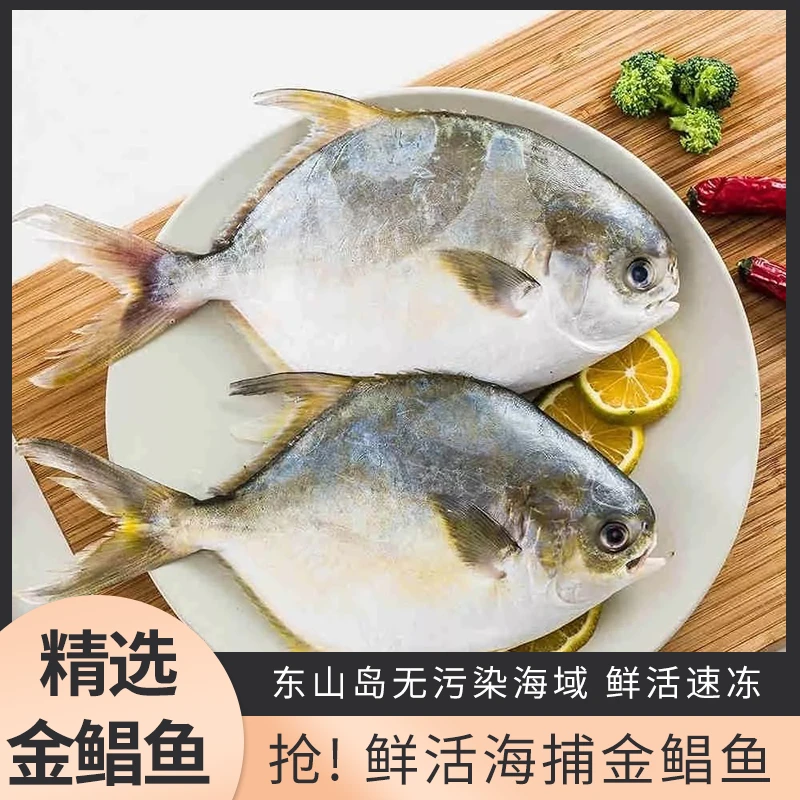 【晶姐专属】福建东山岛速冻锁鲜金鲳鱼6-7两/条 到手3条